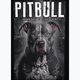 Pánské tričko  Pitbull West Coast Street King black 5