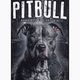 Pánská mikina Pitbull West Coast Hooded Street King black 5