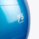 Gymnastický míč Gipara modrý 4900 2