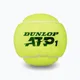 Dunlop ATP 18 x 4 tenisové míče žluté 601314 4