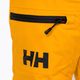 Dětské lyžařské kalhoty Helly Hansen Elements yellow 41765_328 3
