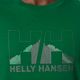 Pánské trekingové tričko Helly Hansen Nord Graphic 486 green 62978 3