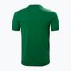 Pánské trekingové tričko Helly Hansen Nord Graphic 486 green 62978 5
