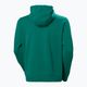 Pánská mikina Helly Hansen HH Logo Hoodie 2.0 emerald 6