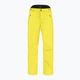 Pánské lyžařské kalhoty HEAD Summit yellow 821622