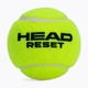 HEAD Reset Polybag tenisové míčky 72 ks zelené 575030 2