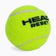 HEAD Reset Polybag tenisové míčky 72 ks zelené 575030 3