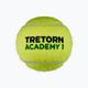 Tenisové míče Tretorn ST1 36 ks žlutá 3T519 474442 2