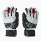 Pánské lyžařské rukavice Dainese Hp lily white/stretch limo 3