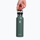 Turistická láhev Hydro Flask Standard Flex 620 ml jedle 4
