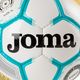 Joma Egeo Football White 400522.216 3