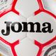 Joma Egeo Football Červená a bílá 400523.206 3