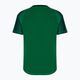 Fotbalový dres pánský Joma Hispa III zelený 101899 7