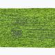 Čelenka BUFF Dryflx Headband zelená 118098.117.10.00 2