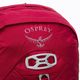 Pánský turistický batoh Osprey Talon 22 l červený 10002710 3