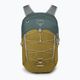 Batoh  Osprey Quasar 26 l green tunnel/brindle brown 