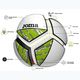 Fotbalový míč  Joma Challenge II white/green velikost 3 5