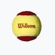 Sada míčků Wilson Starter Red Tballs 12 ks žlutá/červená WRT137100 2