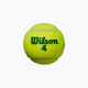 Dětská sada tenisových míčků Wilson Starter Play Green 4 ks žlutá WRT137400 3