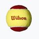 Wilson Starter Red Tball dětská sada tenisových míčků 3 ks žlutá/červená 2000031175 2