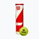 Wilson Team Practice tenisové míče 4 ks žluté WRT111900