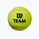 Wilson Team Practice tenisové míče 4 ks žluté WRT111900 2