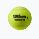Sada tenisových míčků 4ks. Wilson Triniti Tball 4 míče žlutá WRT115200+ 2