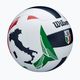Volejbalový míč Wilson Italian League VB Official Gameball velikost 5 2
