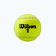 Sada tenisových míčků Wilson Roland Garros Clay Ct 4 ks žlutá WRT115000 3