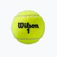 Tenisové míče Wilson Roland Garros All Ct 4 Ball 2Pk 8 ks žluté WRT116402 4