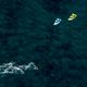 Kite surfing DUOTONE Evo SLS 2022 zelená 44220-3013 6