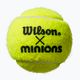 Sada dětských tenisových míčků-3ks. Wilson Minions Tenisová žlutá WR8202401 4