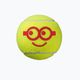 Sada dětských tenisových míčků-3ks. Wilson Minions Stage 3 žlutá WR8202701 2