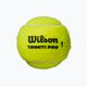 Wilson Triniti Pro Tball tenisové míče 4 ks žluté WR8204801001 2