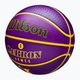 Wilson NBA Player Icon Outdoor Lebron basketbal WZ4005901XB7 velikost 7 3