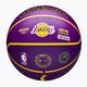 Wilson NBA Player Icon Outdoor Lebron basketbal WZ4005901XB7 velikost 7 7