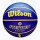 Wilson NBA Player Icon Outdoor Curry basketbal WZ4006101XB7 velikost 7