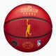 Wilson NBA Player Icon Outdoor Trae basketball WZ4013201XB7 velikost 7 7