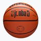 Basketbalový míč  Wilson NBA JR Drv Fam Logo brown velikost 6 5
