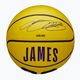 Dětský basketbalový míč   Wilson NBA Player Icon Mini Lebron yellow velikost 3 4