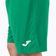 Pánské fotbalové šortky Joma Nobel Green 100053 3
