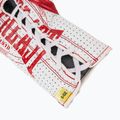 Boxerské rukavice  Everlast Fight Leather red 6
