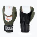 Boxerské rukavice Everlast Prospect 2 green/white