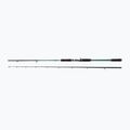 Rybářský prut Abu Garcia Beast X Pike 842 Xh 40-140G Casting zelený 1528376