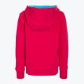Dětská tenisová mikina Wilson Script Cotton PO Hoody pink WRA769221 2