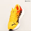 Pánská běžecké boty PUMA Deviate Nitro 3 Fade sun stream/sunset glow/puma white 18