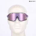 Sluneční brýle  Tifosi Rail Race Clarion crystal purple/clarion purple/clear 8