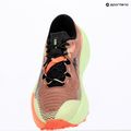 Pánské běžecké boty ASICS Trabuco Max 5 umeboshi/black 9