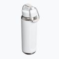 Termo láhev Stanley Classic Wellspring frost 2