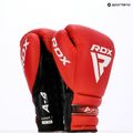 Boxerské rukavice  RDX Apex Lace Up Training Sparring Boxing red 14